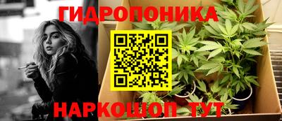 ALPHA PVP Гатчина