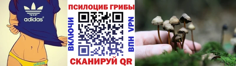 сколько стоит  Петрозаводск  Галлюциногенные грибы мицелий 