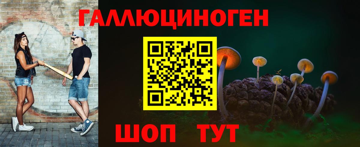 Псилоцибиновые грибы Psilocybine cubensis Петрозаводск