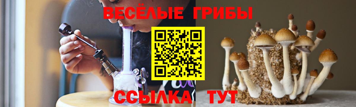 Петрозаводск  Галлюциногенные грибы Magic Shrooms  Псилоцибиновые грибы мицелий  Вход с VPN 